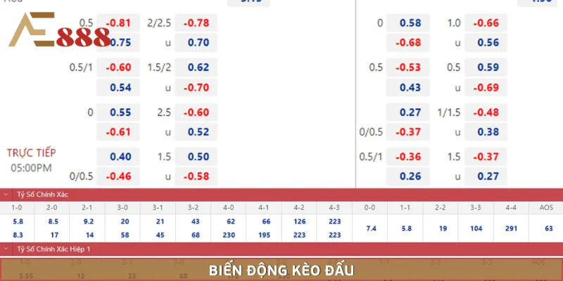 Chú ý tới biến động kèo