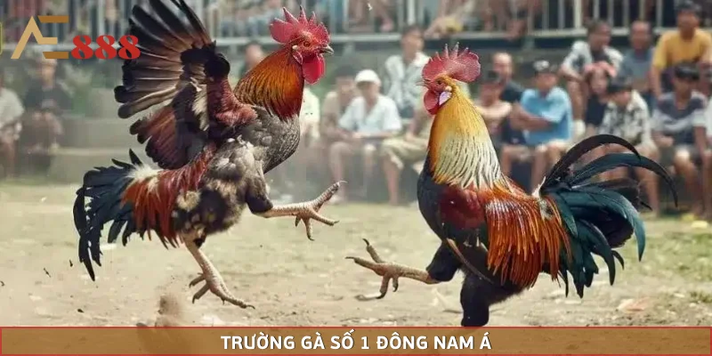 Giới thiệu về lựa chọn số 1 Đông Nam Á