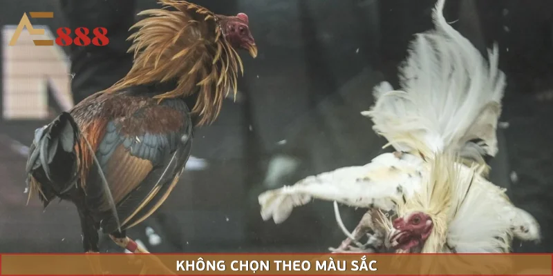 Không phải màu sắc quyết định thắng thua