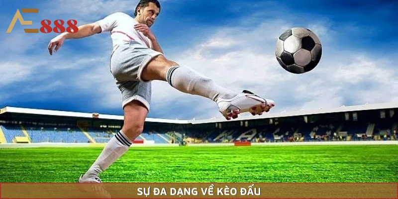 Sự đa dạng trong các lựa chọn châu Á