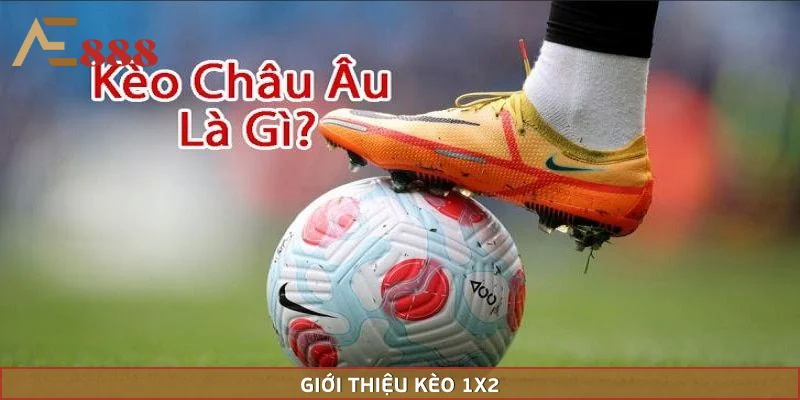Tìm hiểu các kí hiệu của kèo châu Âu