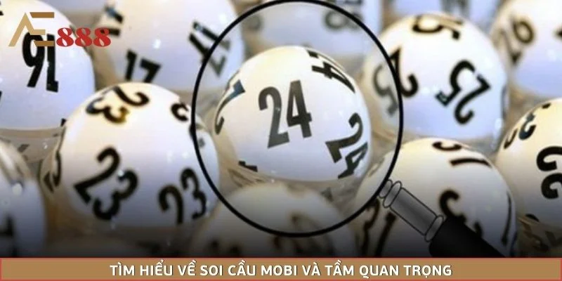 Tìm hiểu về soi cầu Mobi và tầm quan trọng