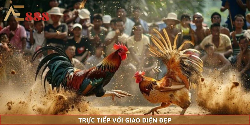 Trực tiếp với giao diện đẹp mắt