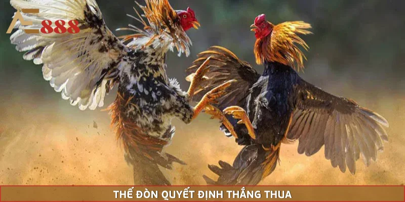 Các thế đánh liên quan tới biến động kèo