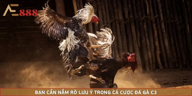 Bạn cần nắm rõ lưu ý trong cá cược đá gà C3
